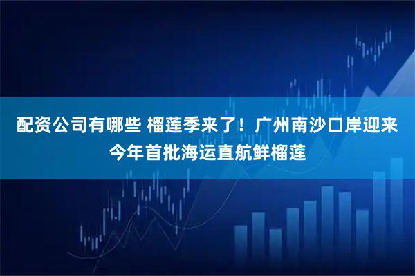 配资公司有哪些 榴莲季来了！广州南沙口岸迎来今年首批海运直航鲜榴莲