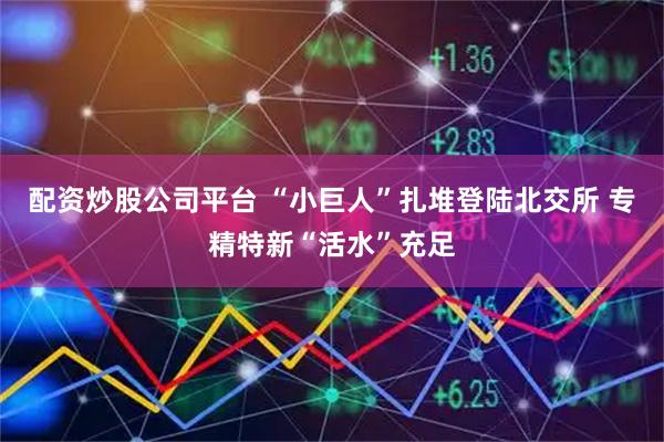 配资炒股公司平台 “小巨人”扎堆登陆北交所 专精特新“活水”充足